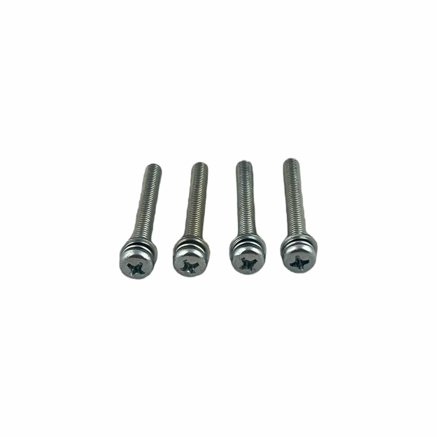 Screw (Set of 4)